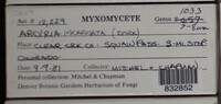 Image Associated With the Occurence